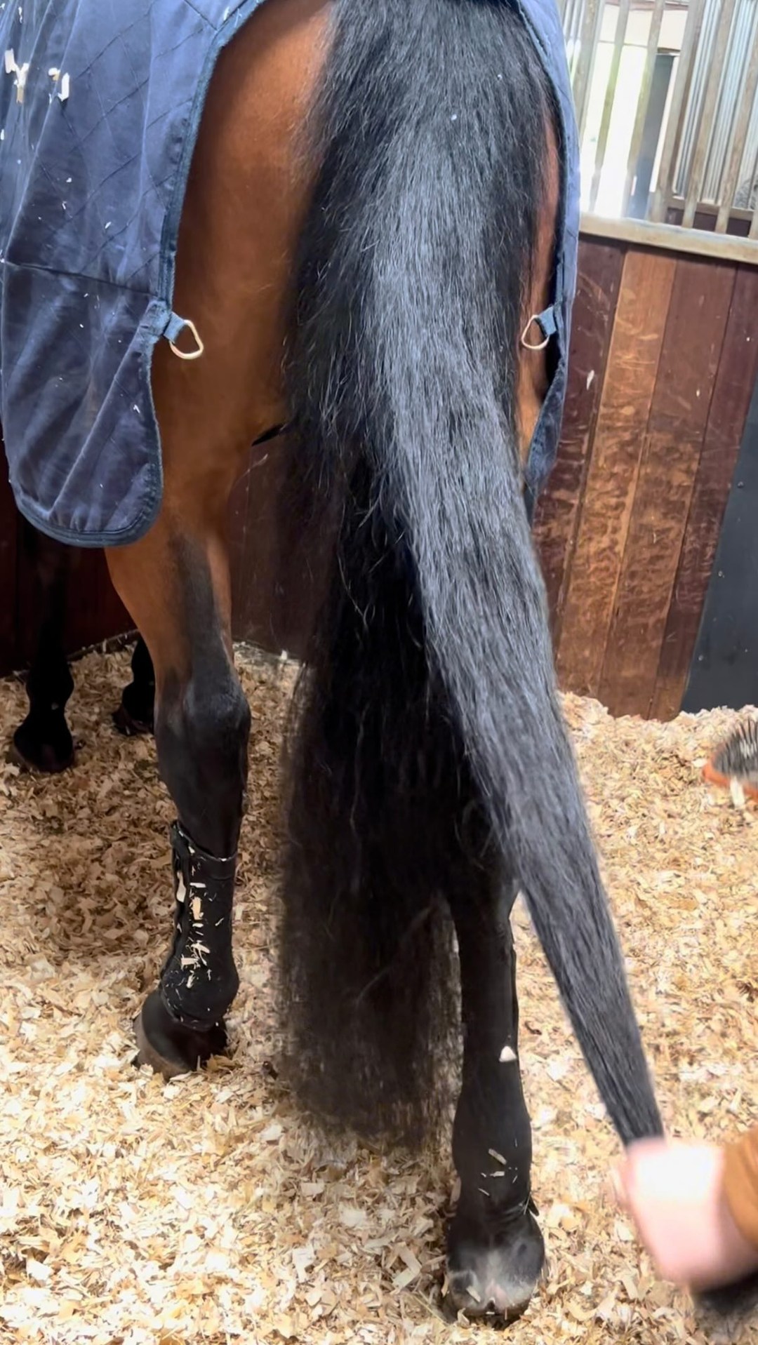 Anúncio de Neighked