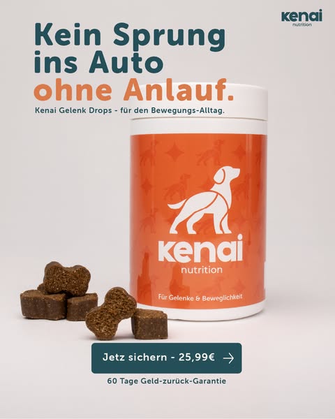 Was steife Gelenke täglich brauchen