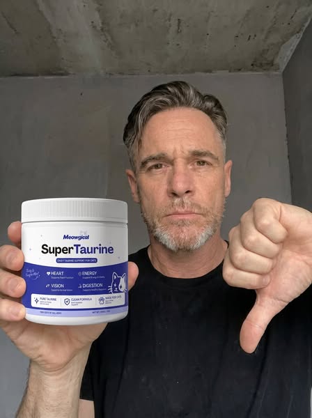 Your Cat Can't Absorb Taurine. Here's Why.