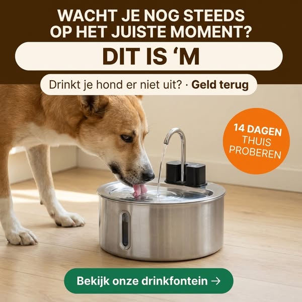 Nu 40% korting + gratis extra filter