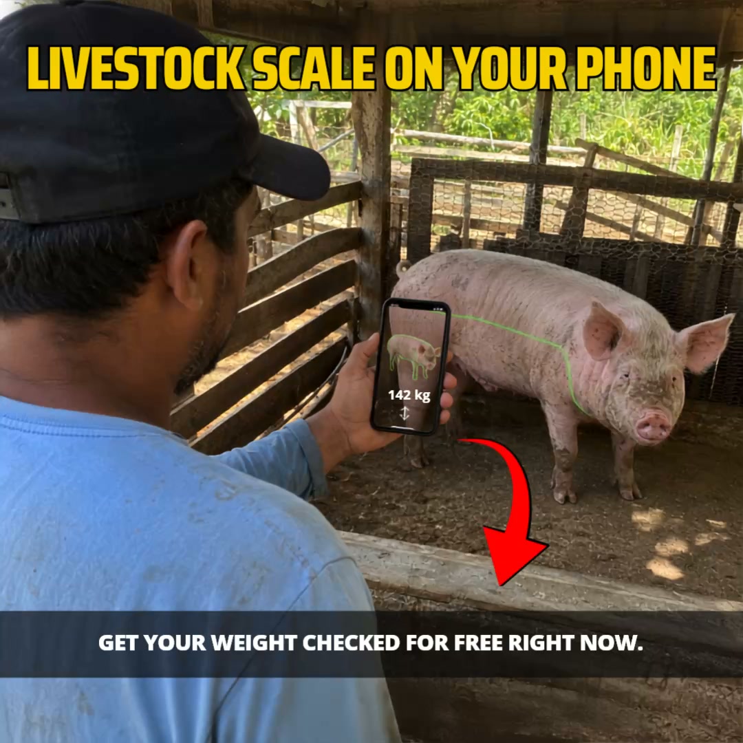Discover How Much Your Herd Is Worth