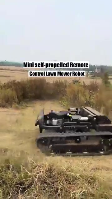 Today's SpecialsMini self-propelled Remote Control Lawn Mower Robot