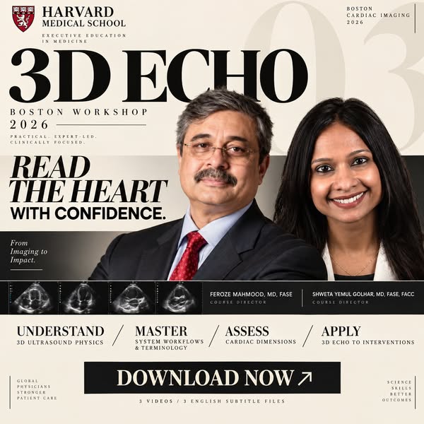 Harvard Boston 3D Echo Workshop 2026