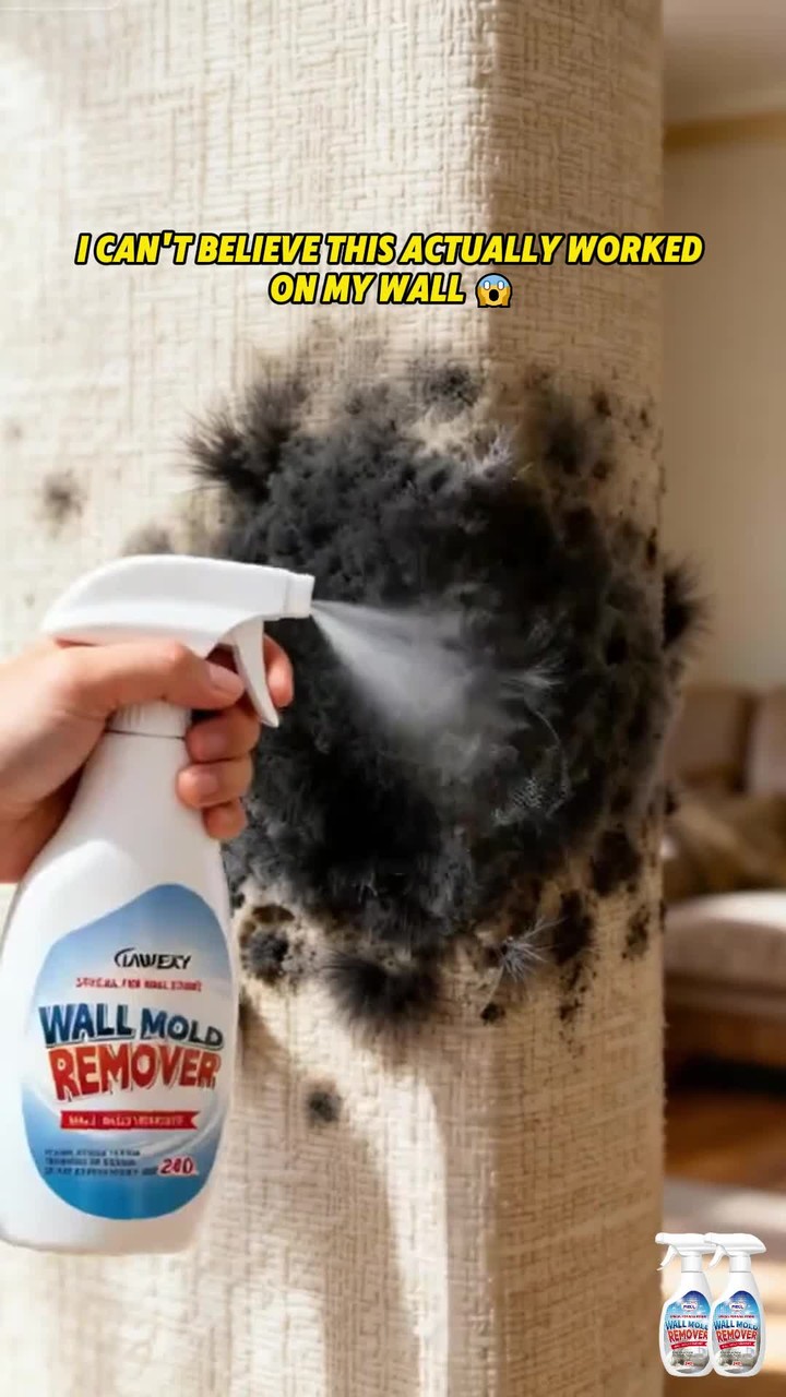 Fast Acting Anti-Mold Wall Cleaner Spray