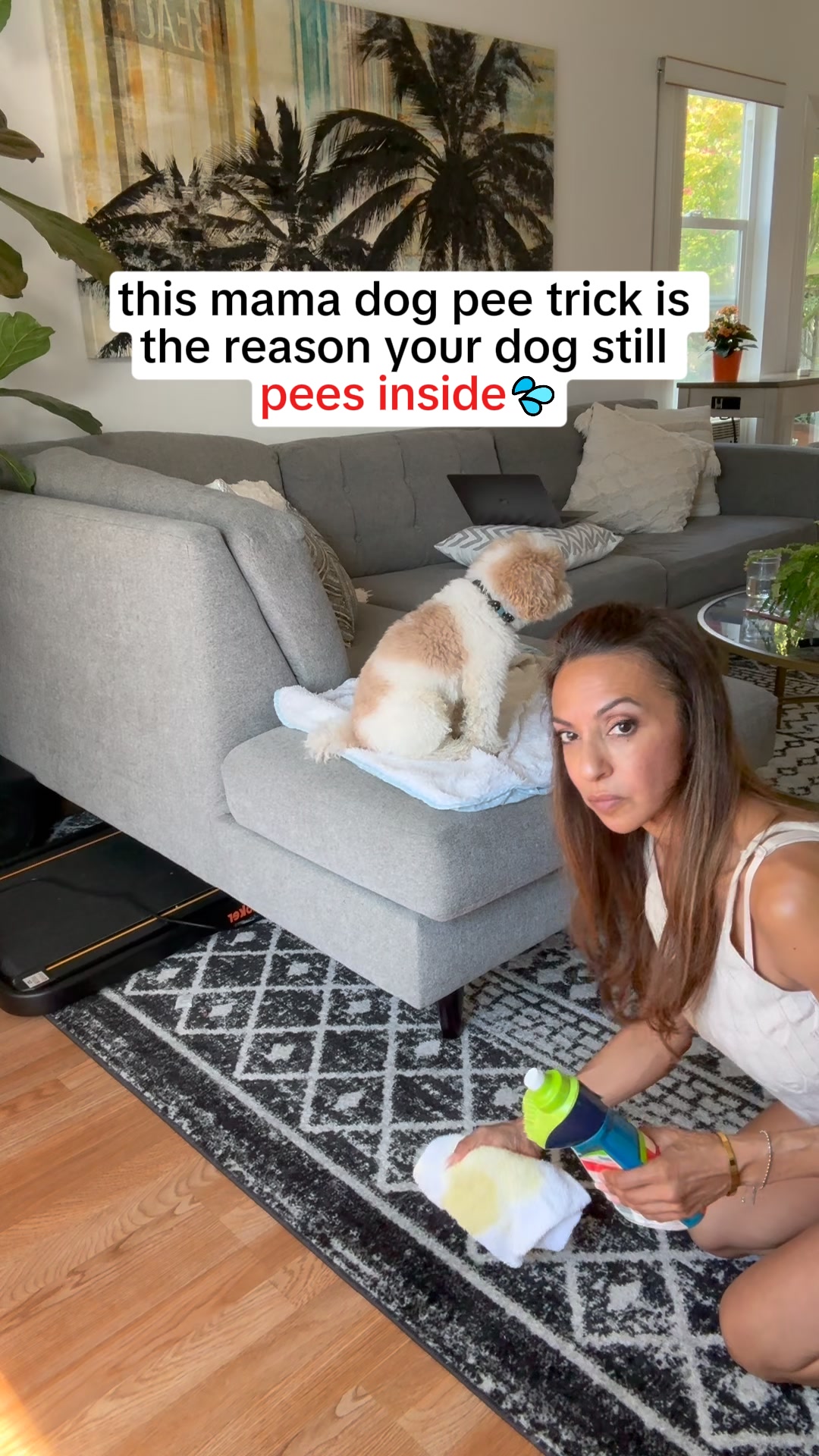 My Dog Didn’t Need Discipline — He Needed This