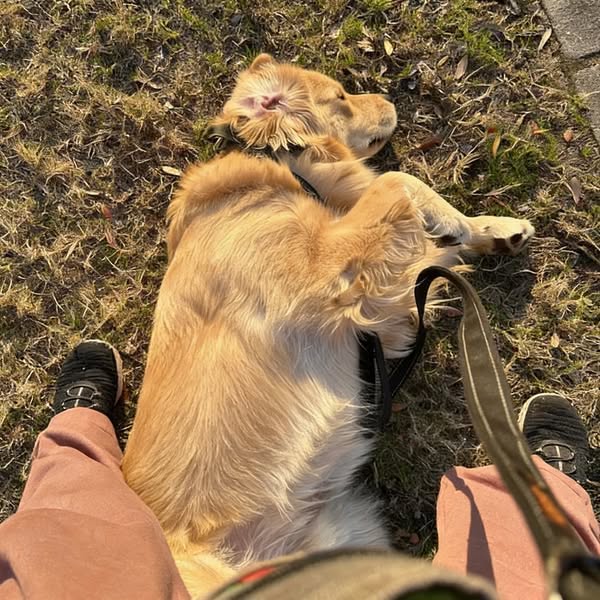His bloodwork was clean... He still died