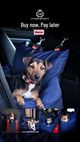 Pawsitively Pampered Pets