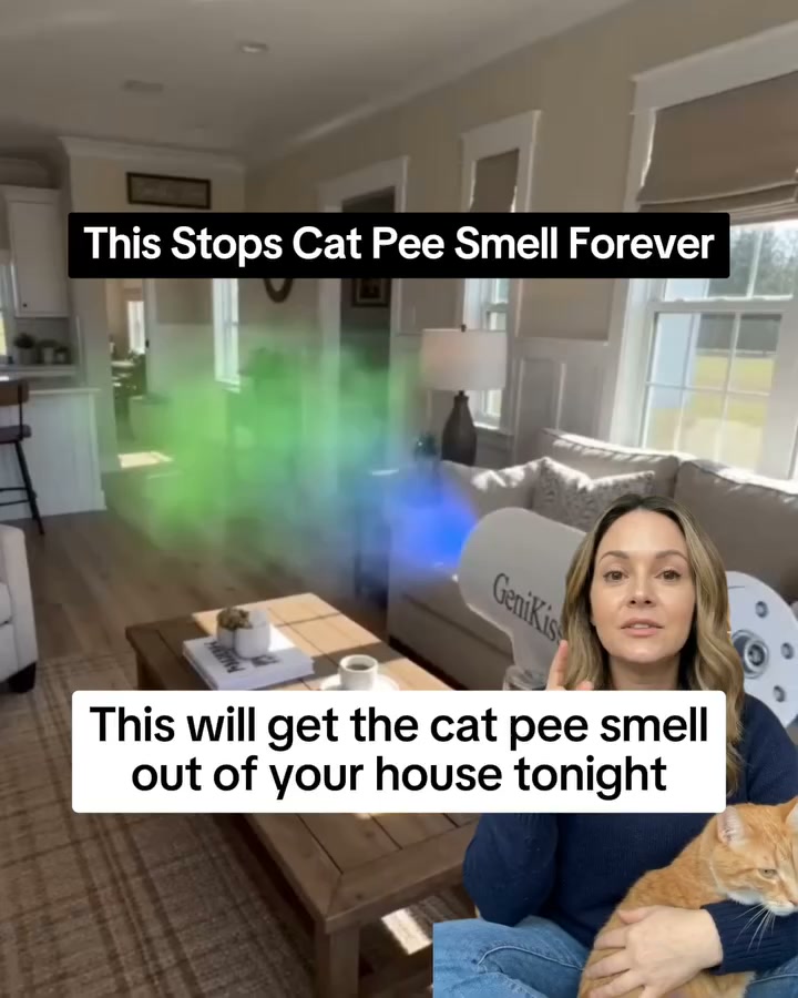 Loved by 12,344+ Pet Owners