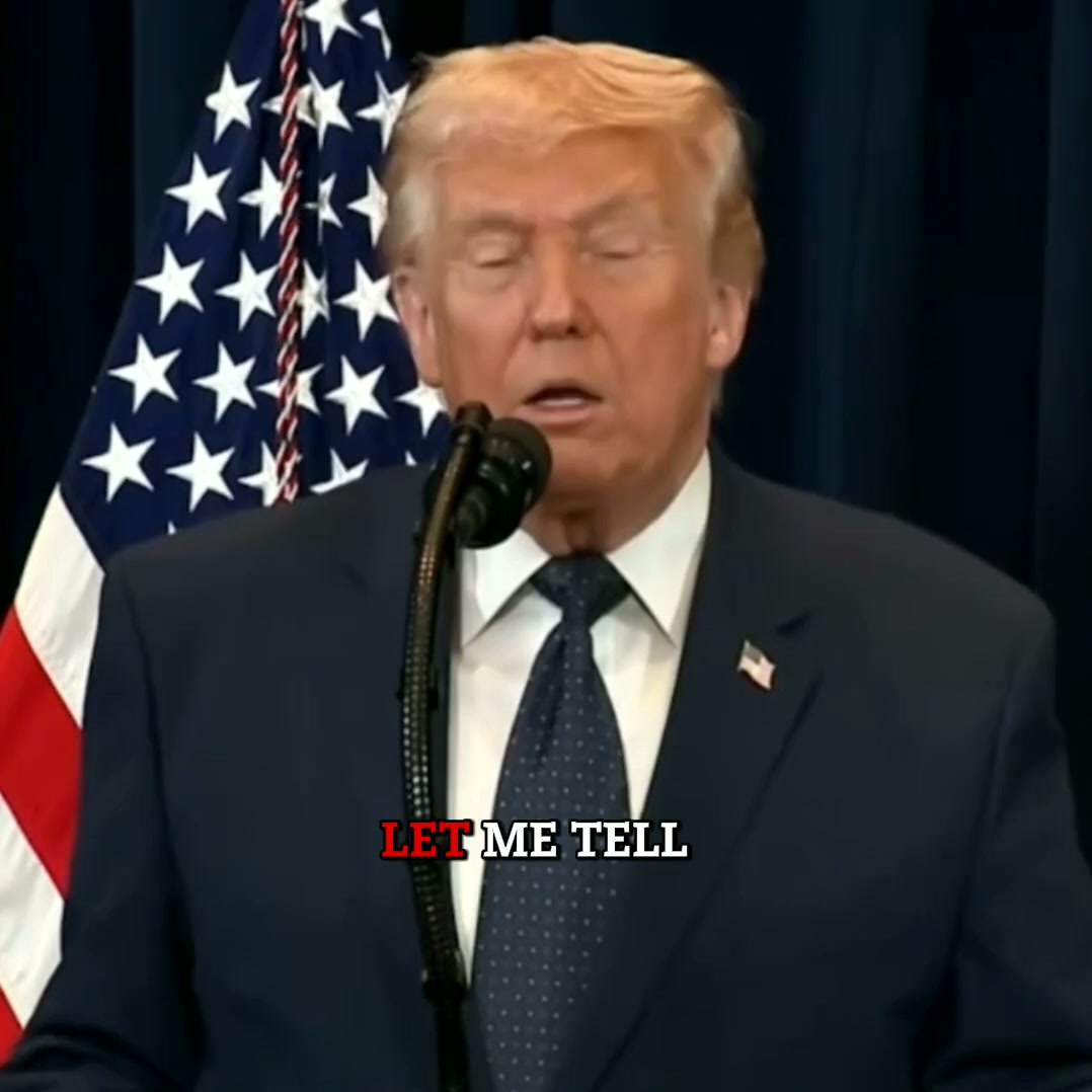 Maga Collections