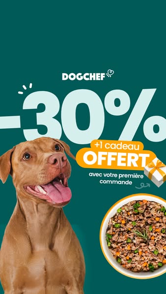 Offre limitée -30%