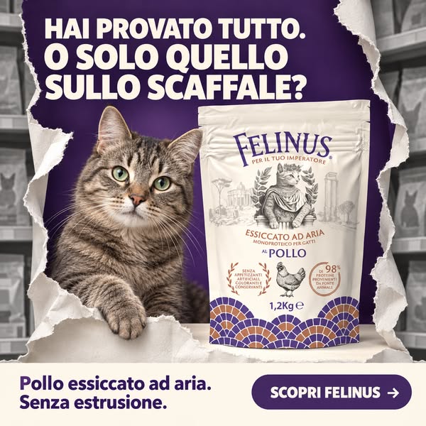 L'alternativa che sullo scaffale non c'è