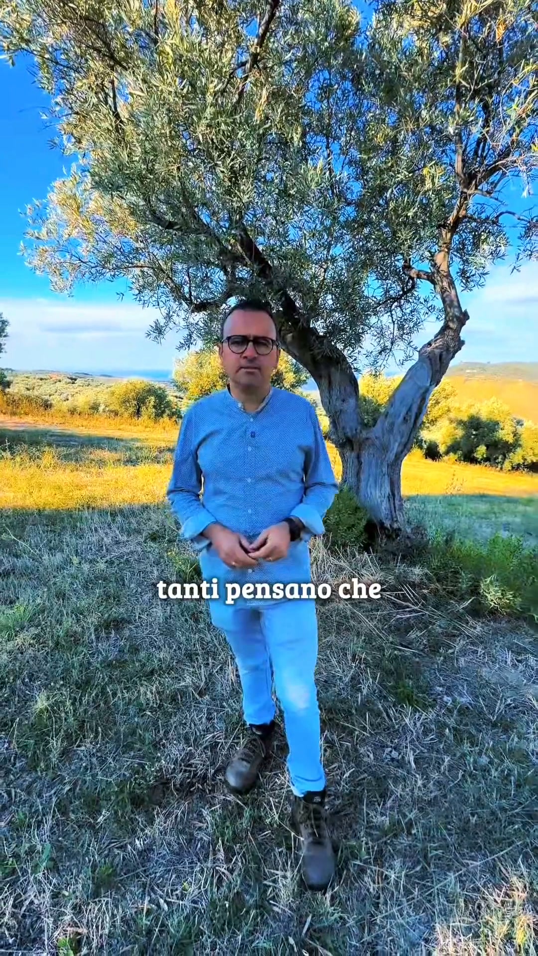 Acquista ora l'olio BIO, amaro e piccante della raccolta 2026/2027