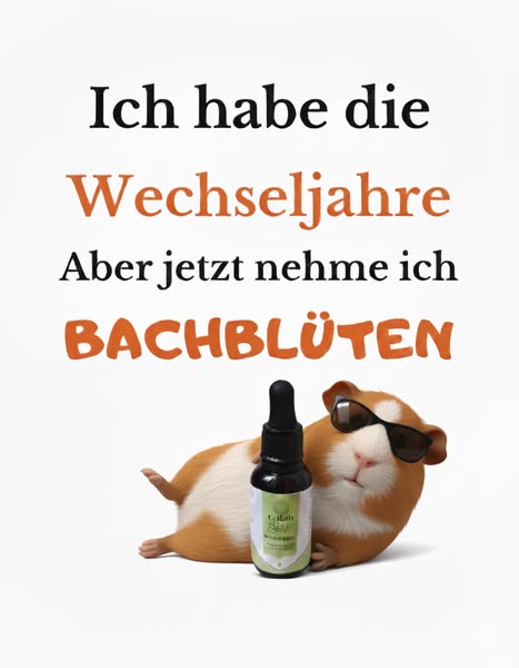 Lindert die Wechseljahresbeschwerden