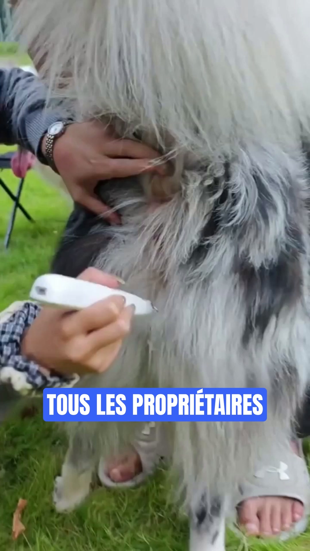 Recommandé par les vétérinaires