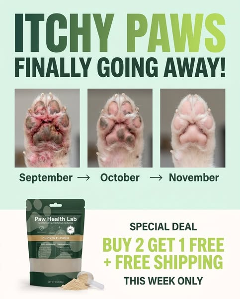 Buy 2 Get 1 FREE