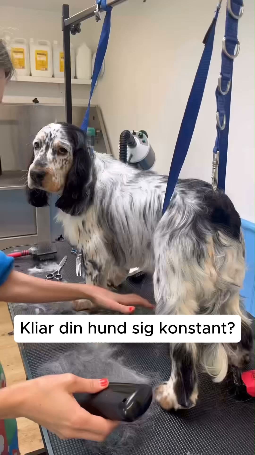 50% REA + FRI FRAKT