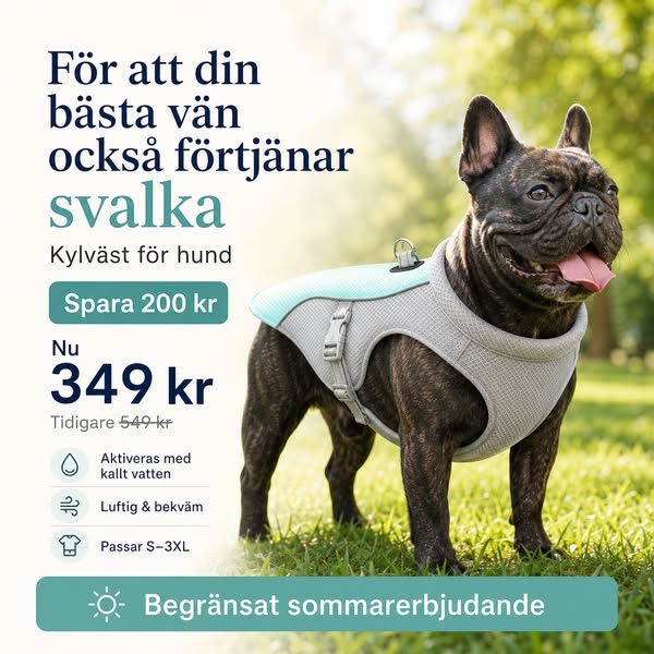 Din bästa vän förtjänar svalka – spara 200 kr