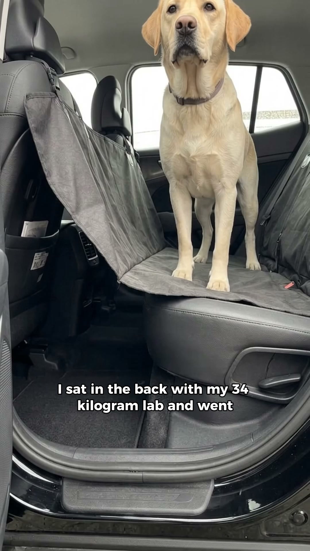 Same Car. More Dog Space.