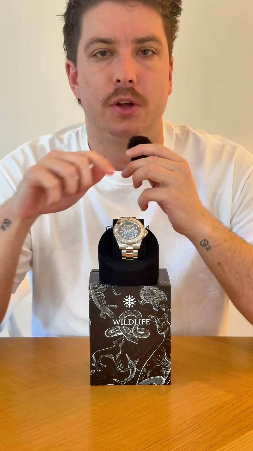 Seb Reviews the Blessington Whale Shark