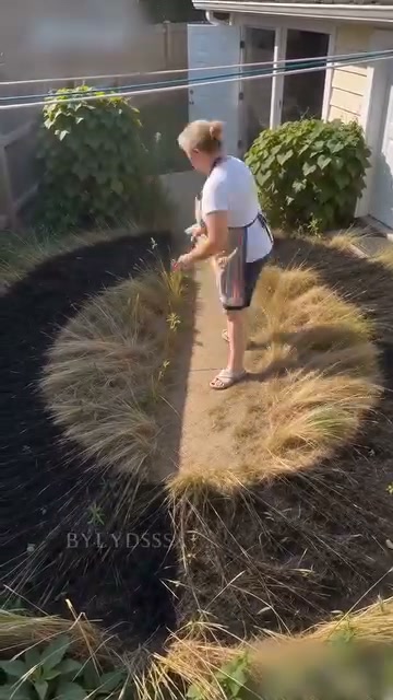 A Tidy Garden, Without the Weeding