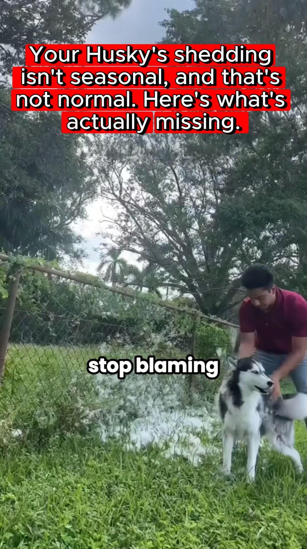 It Was Never The Breed
