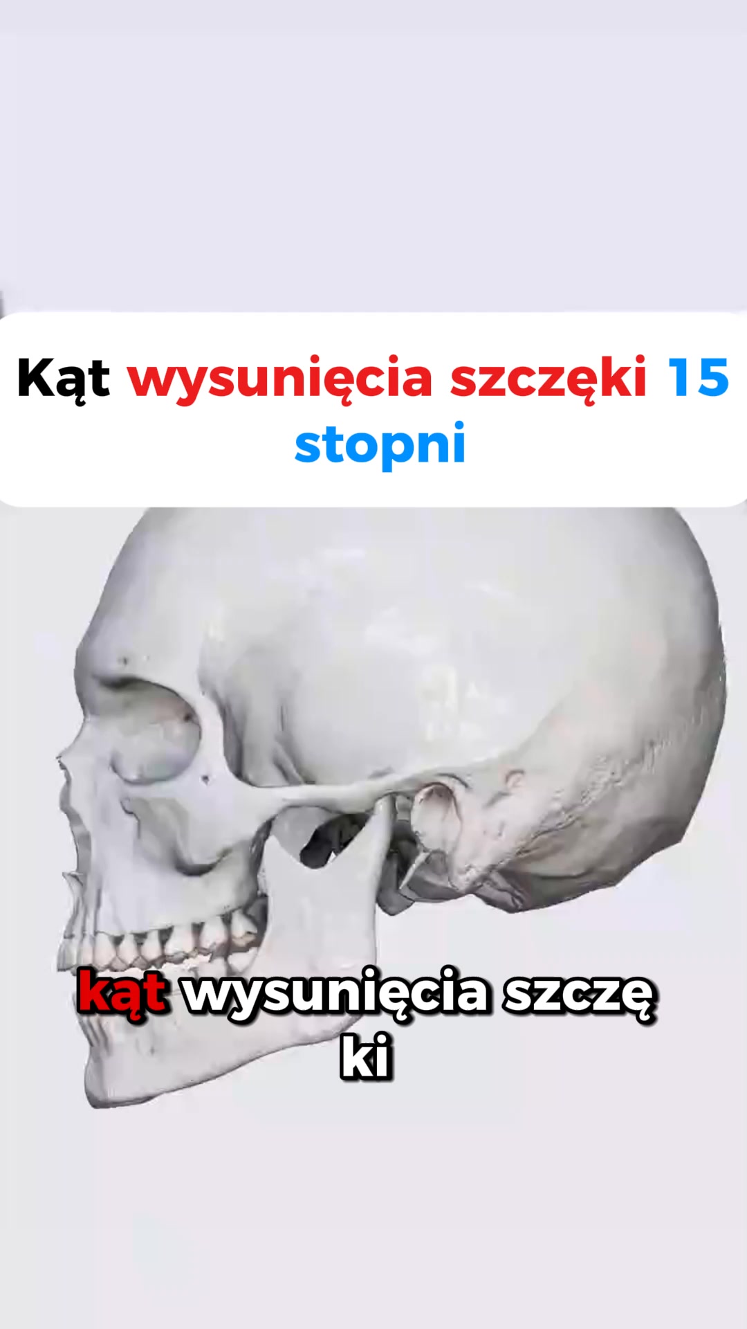 4.8/5 na podstawie 9406 opinii