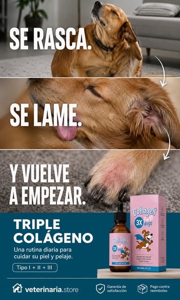 Pago contra Reembolso + Envío Gratis 24/48Hs