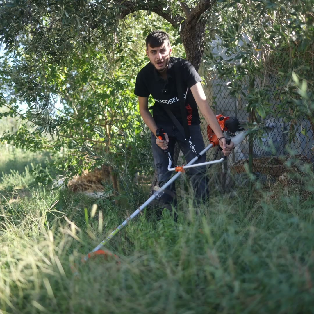 Prepara ora il terreno per le olive