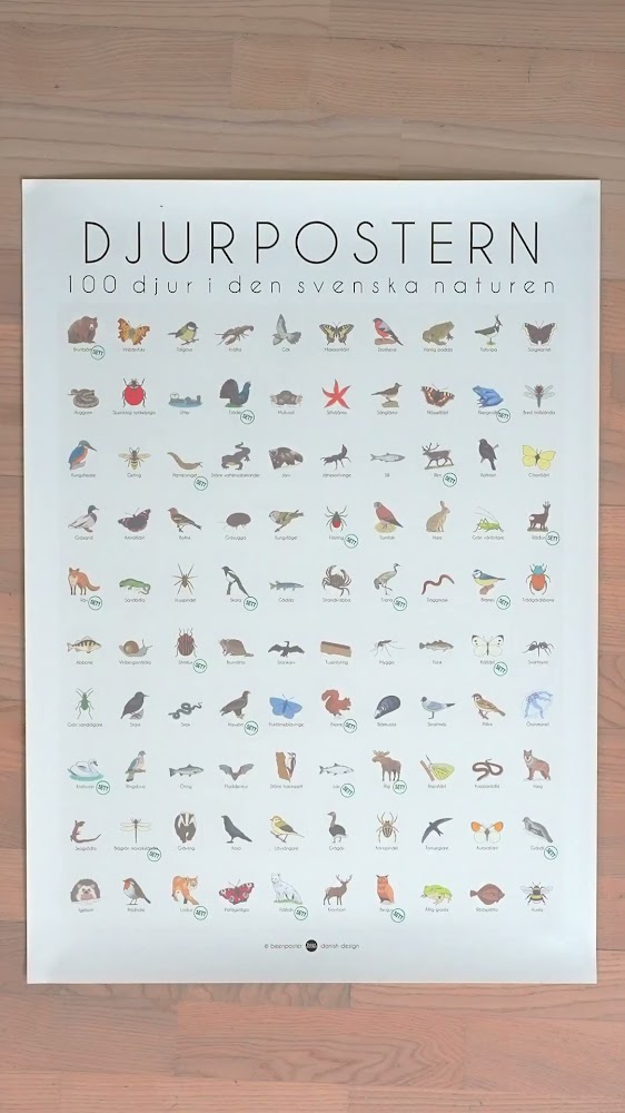 100 djur från Sverige - på en poster
