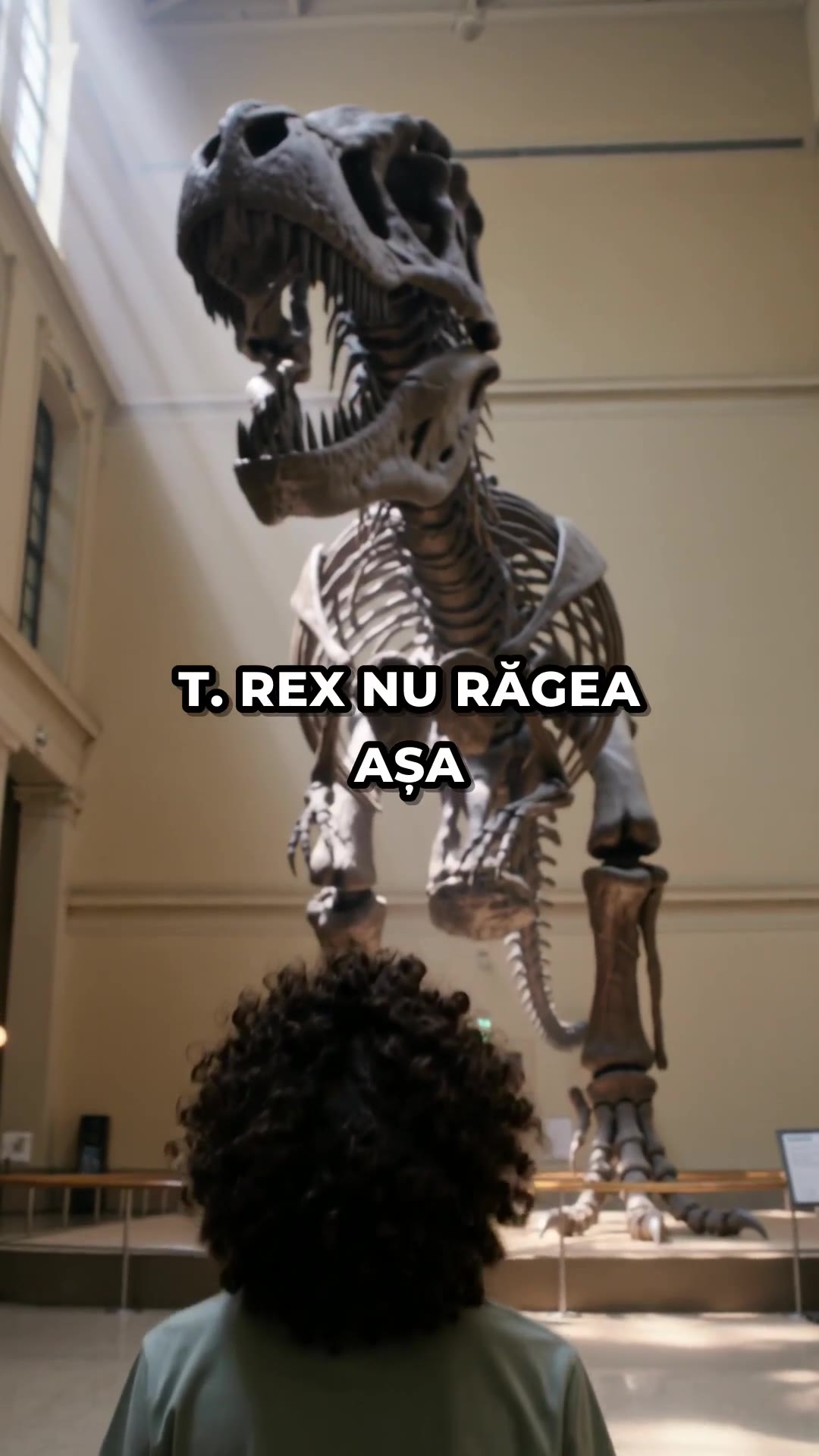De ce-uri Trezește curiozitatea copilului tău
