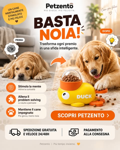 Quanto è intelligente il tuo cane?