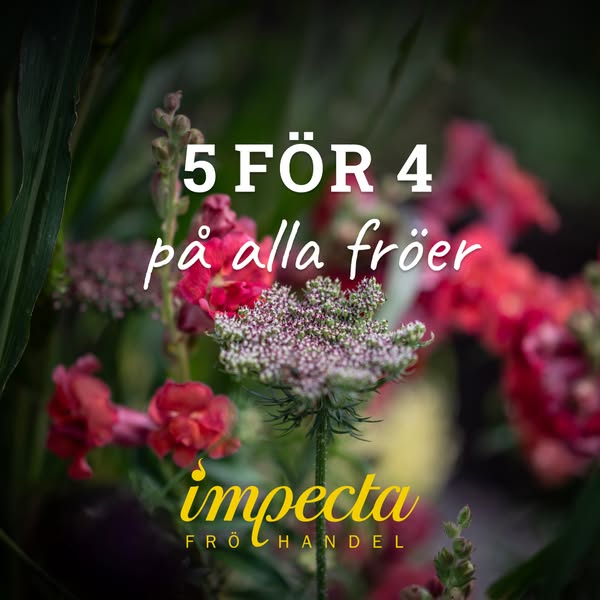 5 för 4 på hela frösortimentet