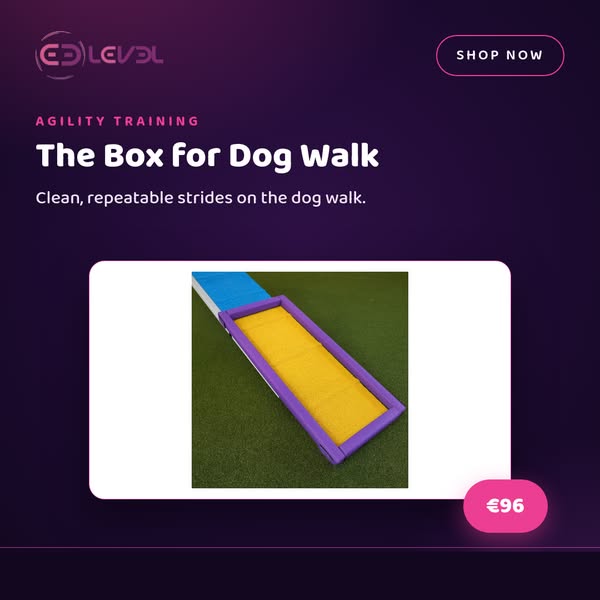 The Box for Dog Walk
