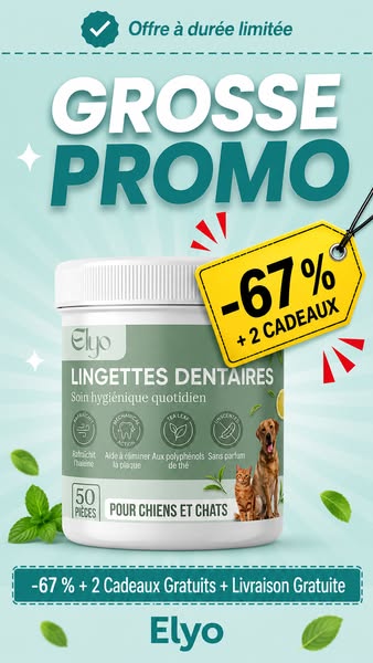 Offrez à votre chien une vie plus saine et plus heureuse