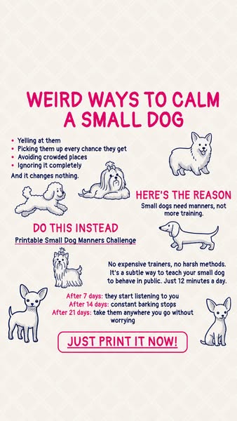 Small dog, big attitude? SAVE THIS ▶