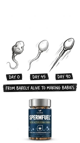 Male Fertility Supplements, Ranked