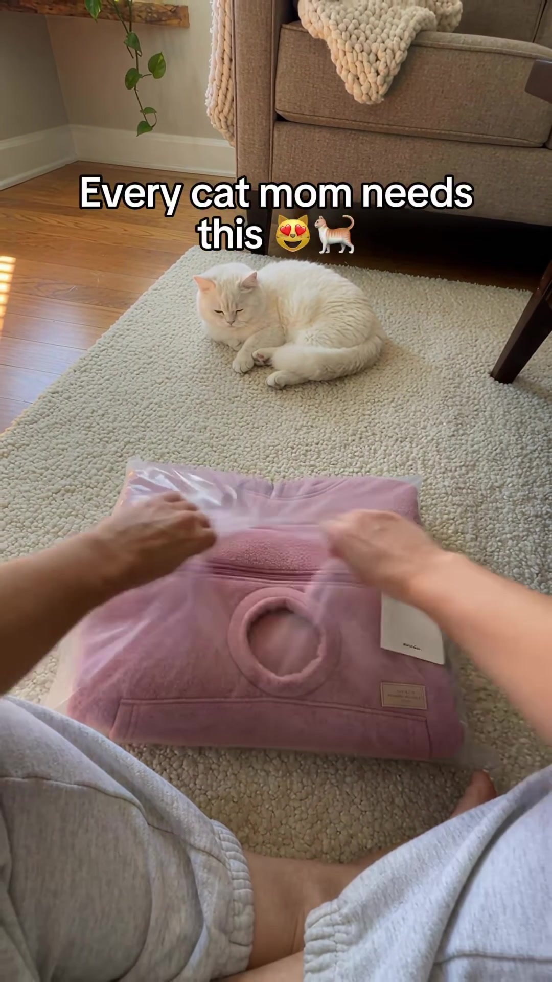 The Hoodie With a Pocket for Your Cat