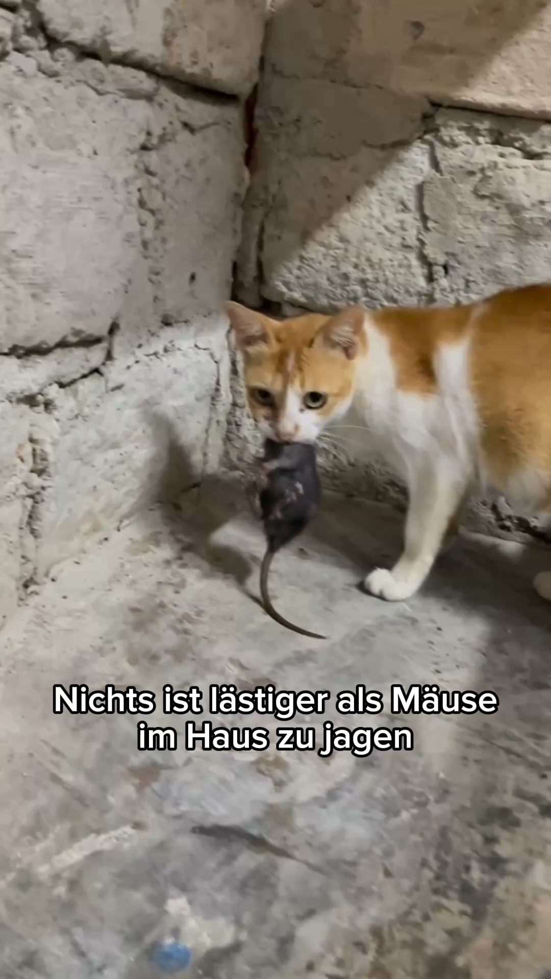 Über 16.000 glückliche Kunden