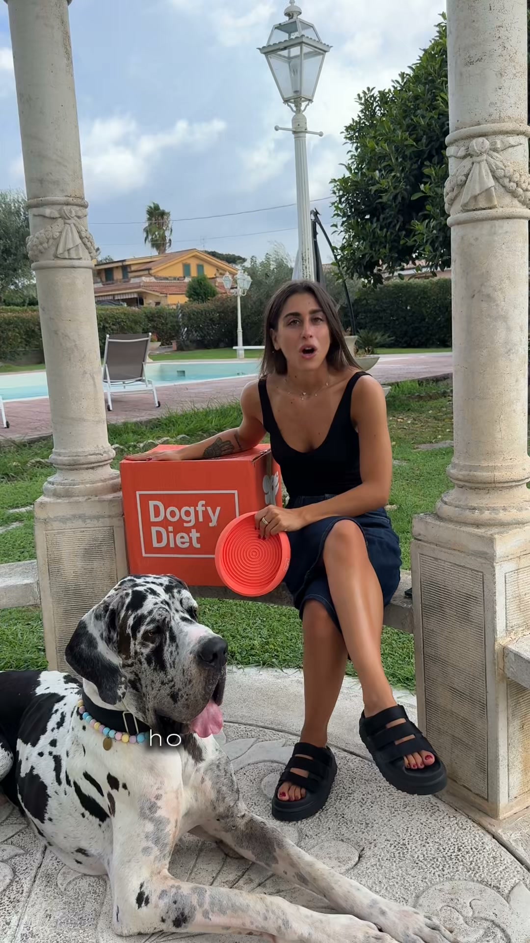 Come mangia il tuo cane?