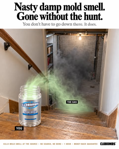 Mouldy Smell? Treat the Lingering Odor