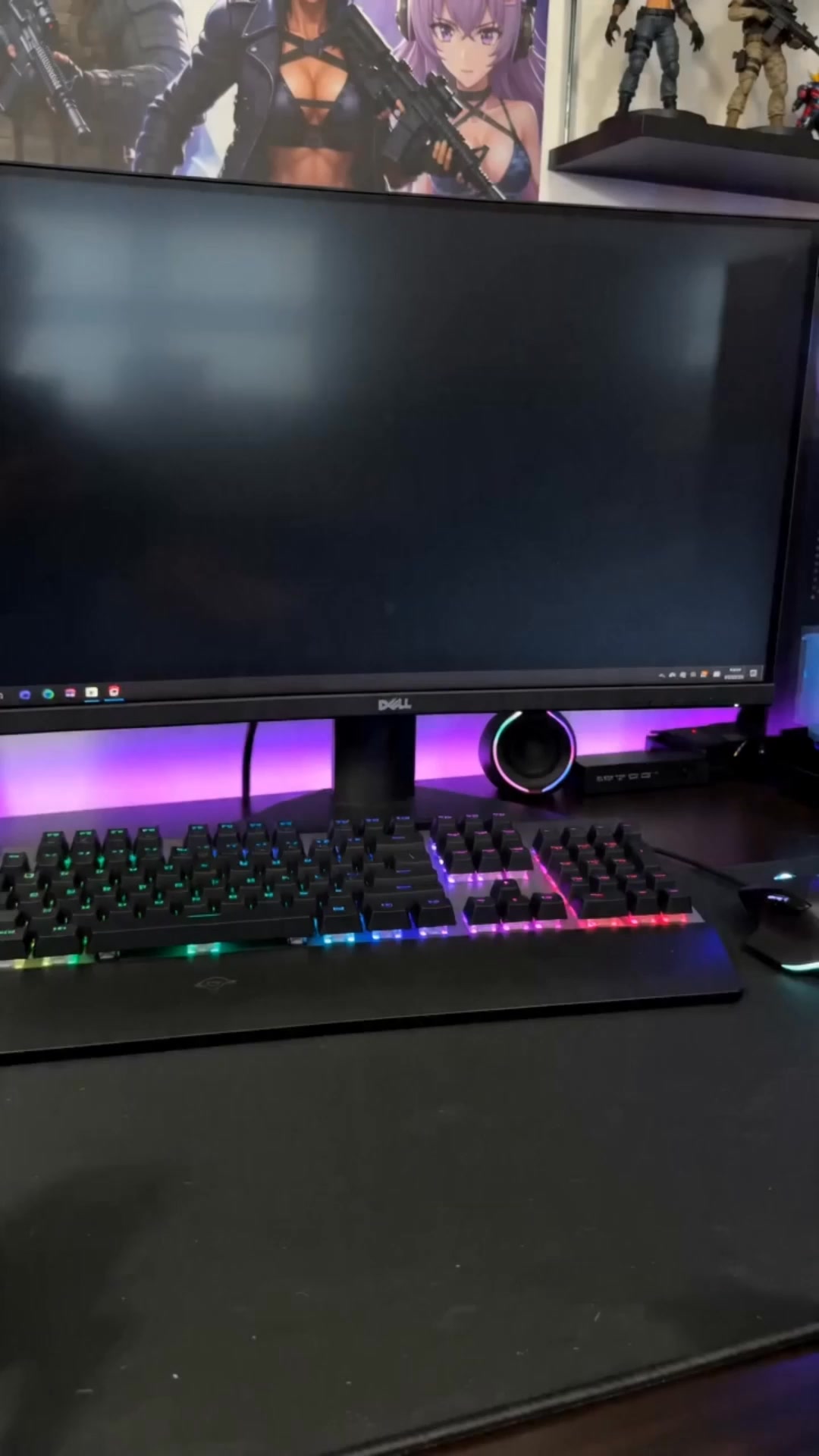 torzly.com