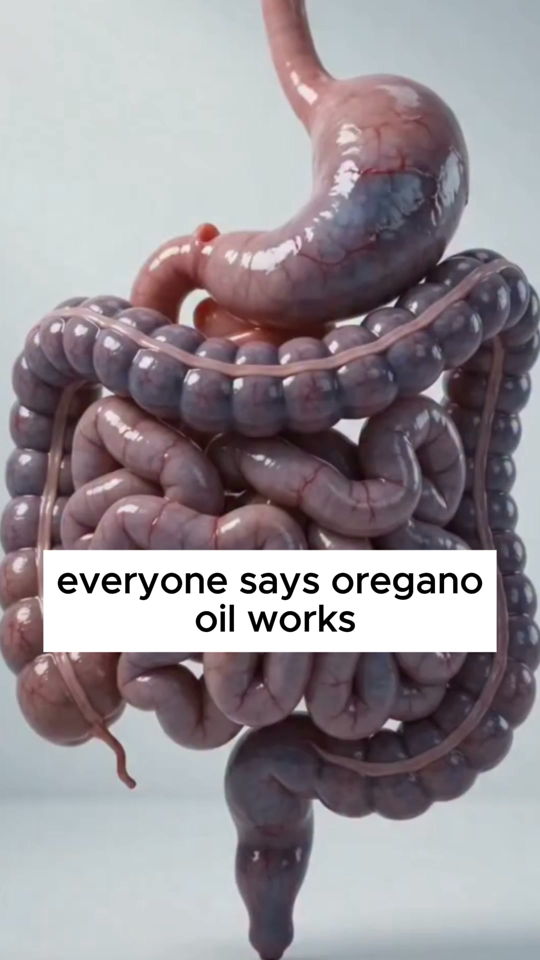 The 14-Day Oregano Oil Routine