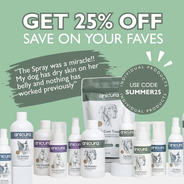 End Of Summer Sale Is HERE
