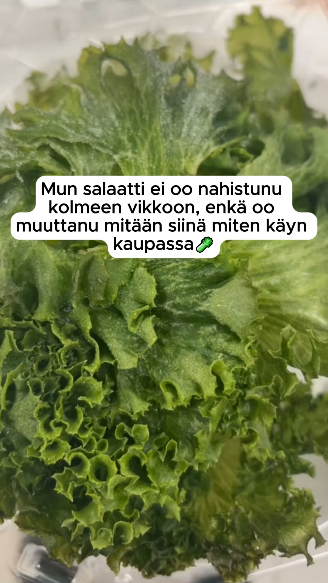 Pidä ruoka tuoreena pidempään