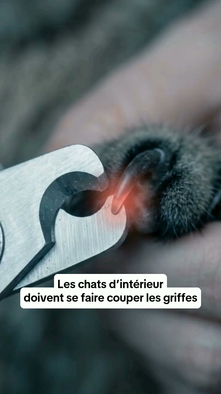 Plus de 2 500 exemplaires vendus