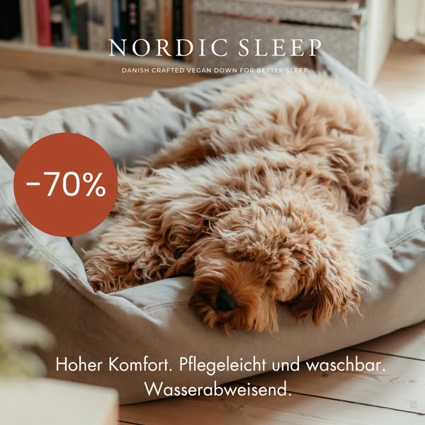 Letzte Chance: 70% sparen