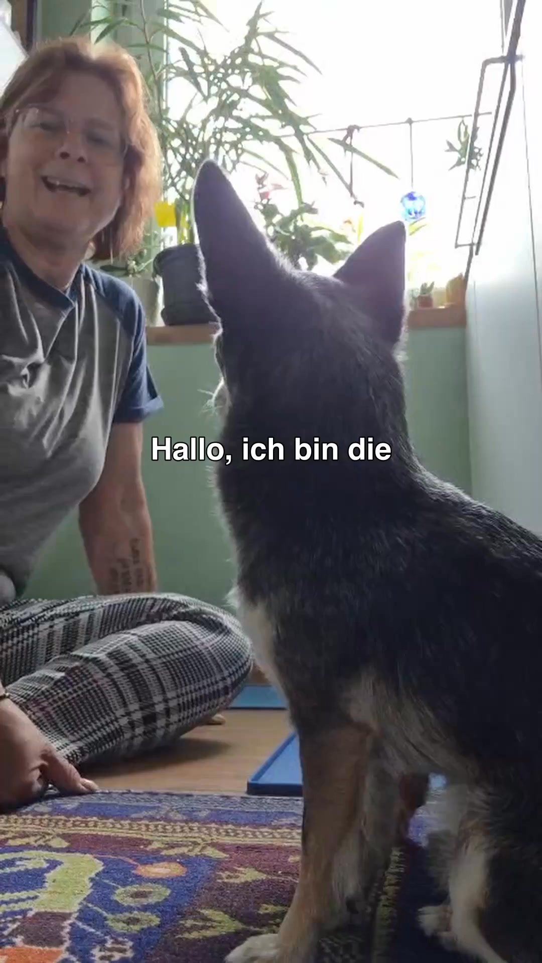 Mit Tierärzten sorgfältig entwickelt!