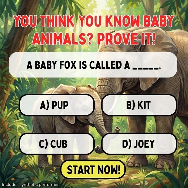 Baby Animals Species