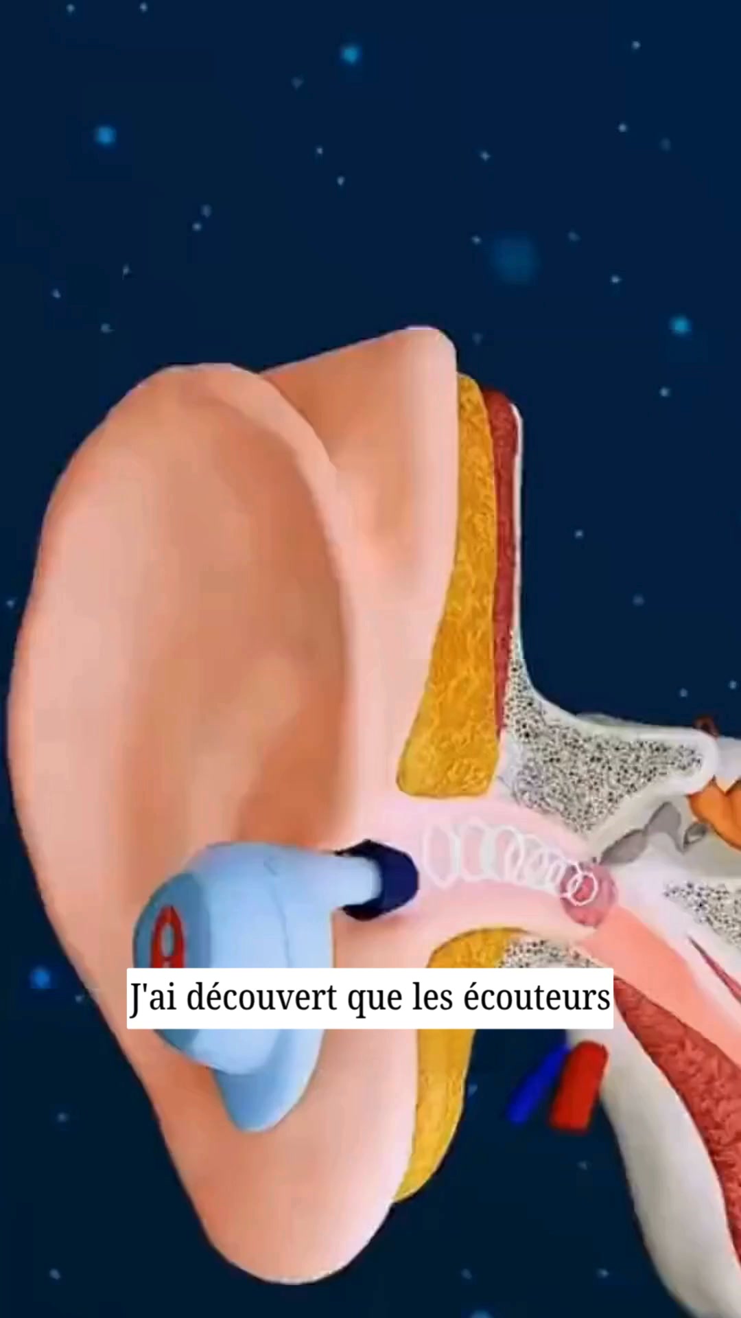 40 % de réduction + livraison gratuite