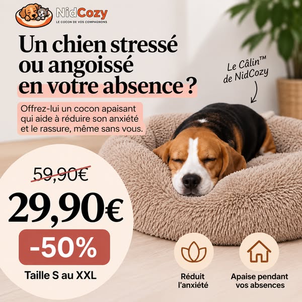Découvrez le coussin Nidcozy